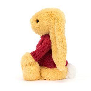 Bashful Sunshine Bunny with Personalised Red Jumper